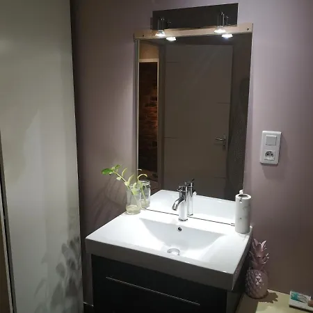 Maison De Ville Dans Le Coeur De Millau-spa Prive Apart-hotel *